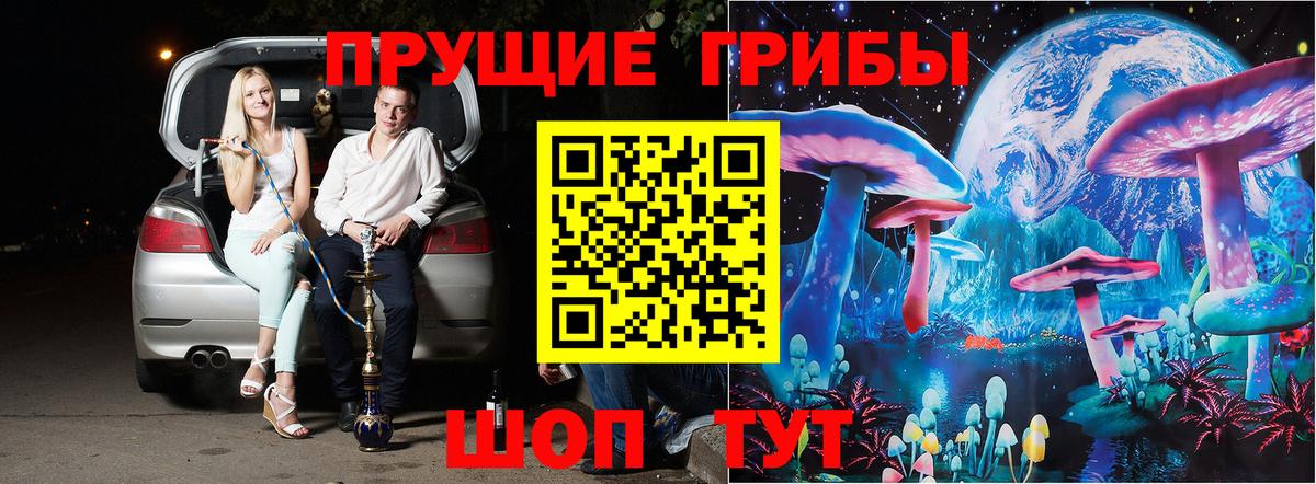 Городец  где купить   Псилоцибиновые грибы Magic Shrooms  Вход с VPN  Галлюциногенные грибы GOLDEN TEACHER 